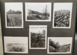 Fotoalbum eines Fliegers, viele Orden und Abzeichen – Bild 11