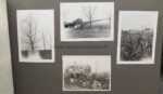 Fotoalbum eines Fliegers, viele Orden und Abzeichen – Bild 15