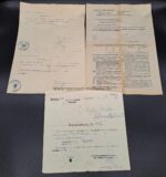 Nachlass der Familie Welte aus Hohenwettersbach bei Karlsruhe, Feldartillerie Regiment Großherzog (1. Badischen) NO. 14 – Bild 13