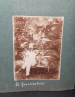 Umfangreiche Dokumente einer großen Familie aus Schwabach, KuK, BDM, Luftschutz, Kaiserliche Armee, etc – Bild 40
