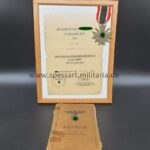 Soldbuch mit Orden und Urkunde eines Mannes aus Schwerin