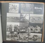 Lot 5x Fotoalben 3.Staffel Heeresaufklärungsgruppe 32 des Feldwebels Hans Hirth aus Würzburg, Luftaufnahmen Frankreich 1940 & Südrussland 1941 (Feldpostnummer 33960) – Bild 185
