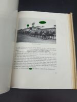 Buch Reichstagung in Nürnberg 1934 (Reichsparteitag) – Bild 5