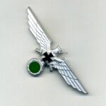 Reichskriegerbund ( NSRKB ) Brustadler