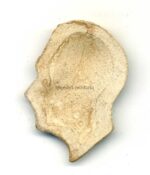 kleiner Porzellan Kopf Hitler – Bild 2