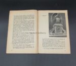 Buch Führer durch Posen – Bild 3
