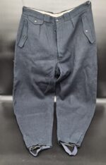 Deutsche Arbeitsfront Hose