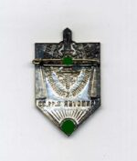NSKOV Treuekundgebung Kriegsopfer NSDAP Hannover 1933 – Bild 2