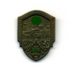 NSKOV 1. Kriegsopfer Grenzland Kundgebung Soldatentag Passau 1933