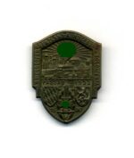 NSKOV 1. Kriegsopfer Grenzland Kundgebung Soldatentag Passau 1933