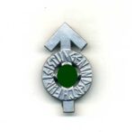 HJ Leistungsabzeichen in Silber