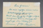 Wehrpass Inf. Rgt. 348 San. Feldwebel – Bild 3