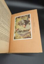 Raumbildalbum der Kampf im Westen – Bild 3