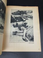 Dokumente polnischer Grausamkeit, Buch Berlin 1941 – Bild 2