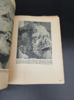 Dokumente polnischer Grausamkeit, Buch Berlin 1941 – Bild 5