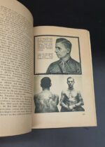 Bewaffneter Aufstand! - Enthüllungen über den kommunistischen Umsturzversuch am Vorabend der nationalen Revolution – Bild 3