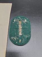 Lapplandschild mit Urkunde 1./Geb.Div.Nachr.Abt.91 – Bild 4