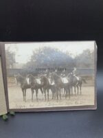 Husaren Kavallerie Fotoalbum ca 1900-1910 – Bild 2