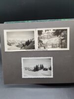 3x Fotoalben + Urkunde Verwundetenabzeichen in Silber, 3./Polizei Artillerie Regiment, SS-Polizei-Division – Bild 21