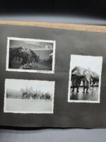 Heer Soldbuch & Fotoalben des Sanitäts-Feldwebel Horst Schellenberg aus Lehndorf (Altenburg) 5.Batterie, Artillerie Regiment 24 & 4.Batterie, Artillerie-Regiment 1553 – Bild 55