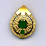 Goldenes Führer-Sportabzeichen Der Hitlerjugend B-Stück, Mint
