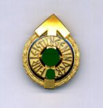 Goldenes Führer-Sportabzeichen Der Hitlerjugend B-Stück, Mint