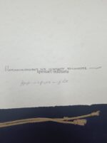 Teilnachlass des Gauleiters Otto Telschow Gau Ost-Hannover – Bild 24