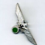 Reichskriegerbund ( NSRKB ) Schirmmützenadler