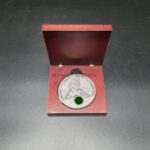 SA Medaille Jagdgeschwader Horst Wessel 