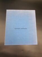 Buch vom 30. Januar zum 21. März / mit beiden Schellackplatten – Bild 6