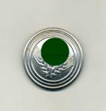 Reichsarbeitsdienst der weiblichen Jugend Brosche für Maidenoberführerin