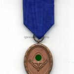 Dienstauszeichnung Reichsarbeitsdienst 4. Stufe