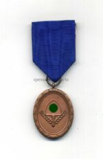 Dienstauszeichnung Reichsarbeitsdienst 4. Stufe