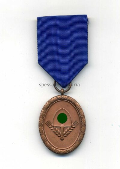 Dienstauszeichnung Reichsarbeitsdienst 4. Stufe