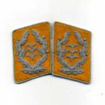 Luftwaffe Paar Kragenspiegel Oberst fliegendes Personal
