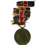 US WW1 War with Germany 1917-1919 Service Medaille