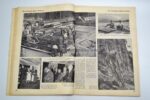 Illustrierter Beobachter "Das Deutschland Adolf Hitlers" 1937 – Bild 5