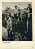 Buch der Arbeitsdienst ein Bildberichtbuch – Bild 3