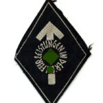 HJ Leistungsabzeichen Silber Stoff