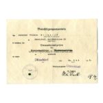 Urkunde Verwundetenabzeichen schwarz