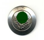 Reichsarbeitsdienst der weiblichen Jugend Brosche für Jungführerin