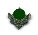 Reichsarbeitsdienst der weiblichen Jugend Brosche für Kriegshilfsdienst