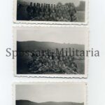 Privataufnahme Foto Wehrmacht Gruppenbild