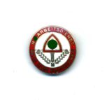 Abzeichen RAD – N. S. Arbeitsdienst Abtlg. 4/305 Braunschweig