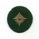 Wehrmacht Heer Oberschützenstern