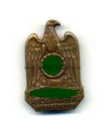 Abzeichen NSDAP Reichsparteitag Nürnberg 1933