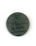 NSDAP Abzeichen Reichsparteitag 1936