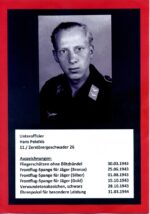 Luftwaffe Ehrenpokal Nachlass des Unteroffiziers Hans Peleikis 11. Zerstörergeschwader 26 “Horst Wessel” Junkers Ju-88, sehr selten – Bild 2