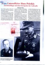 Luftwaffe Ehrenpokal Nachlass des Unteroffiziers Hans Peleikis 11. Zerstörergeschwader 26 “Horst Wessel” Junkers Ju-88, sehr selten – Bild 15