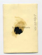 Portrait Bild SA mit Ordensspange und Parteiabzeichen – Bild 2